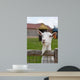 Mr. Duke Wall Decal