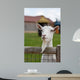Mr. Duke Wall Decal