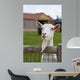 Mr. Duke Wall Decal