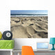 Huntington Beach Sand Wall Decal