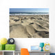 Huntington Beach Sand Wall Decal