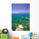 Kayaking Lake Tahoe Wall Decal