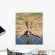 Drinking Giraffe Wall Decal