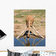 Drinking Giraffe Wall Decal