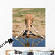 Drinking Giraffe Wall Decal