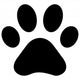 Paw Print Wall Decal