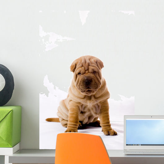 Funny Sitting Sharpei Wall Decal