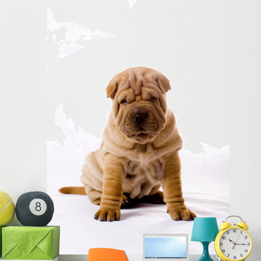 Funny Sitting Sharpei Wall Decal