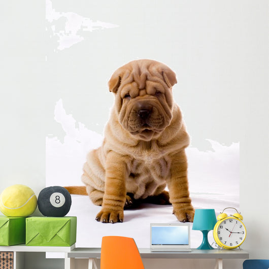 Funny Sitting Sharpei Wall Decal