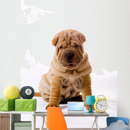 Funny Sitting Sharpei Wall Decal