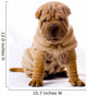 Funny Sitting Sharpei Wall Decal