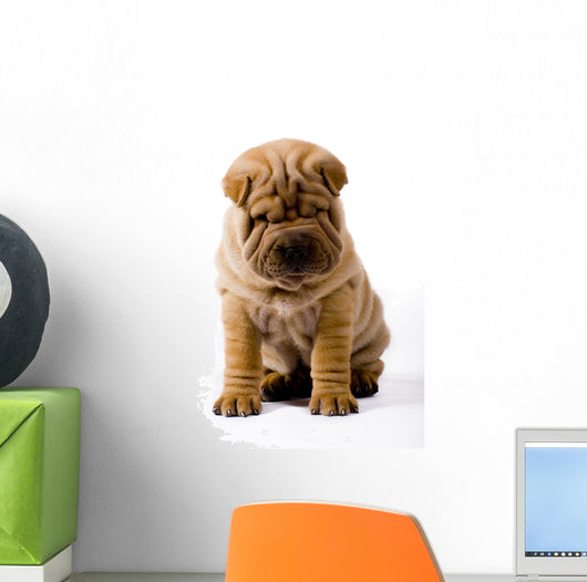 Funny Sharpei Wall Decal