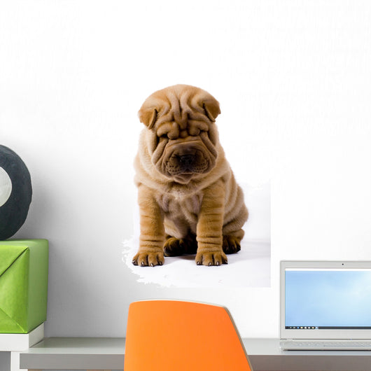 Funny Sharpei Wall Decal