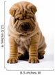 Funny Sharpei Wall Decal