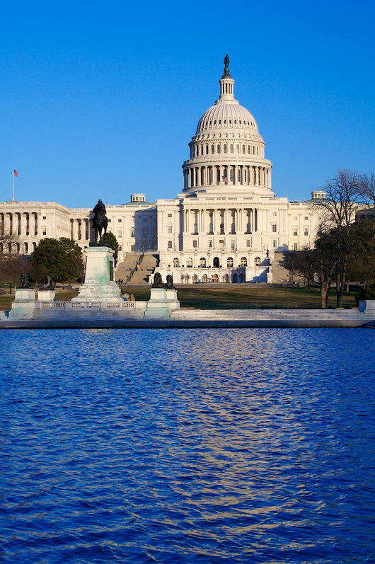 Capitol Building with Clear Wall Decal