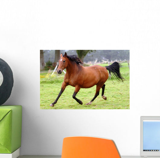 Galloping Horse Wall Decal