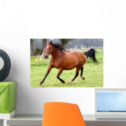 Galloping Horse Wall Decal