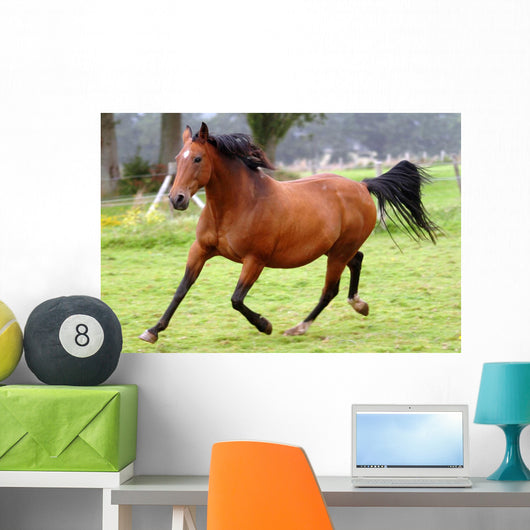 Galloping Horse Wall Decal