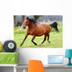 Galloping Horse Wall Decal