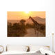 Giraffe Sunrise Kruger National Wall Decal