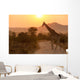 Giraffe Sunrise Kruger National Wall Decal