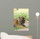Cute Siberian Tiger Cub Wall Decal