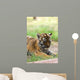 Cute Siberian Tiger Cub Wall Decal