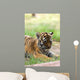 Cute Siberian Tiger Cub Wall Decal
