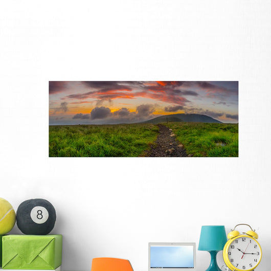 Sunrise round Bald Panorama Wall Decal