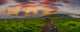 Sunrise round Bald Panorama Wall Decal