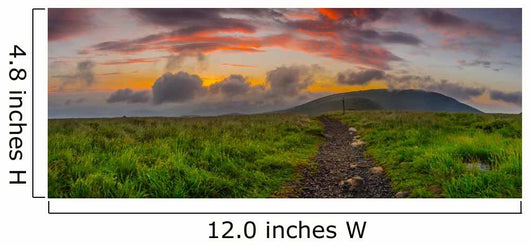 Sunrise round Bald Panorama Wall Decal