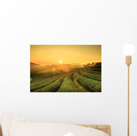 Sunrise Tea Plantation Landscape Wall Decal