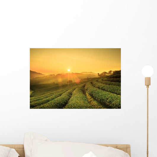 Sunrise Tea Plantation Landscape Wall Decal