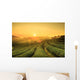 Sunrise Tea Plantation Landscape Wall Decal