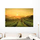 Sunrise Tea Plantation Landscape Wall Decal