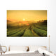 Sunrise Tea Plantation Landscape Wall Decal
