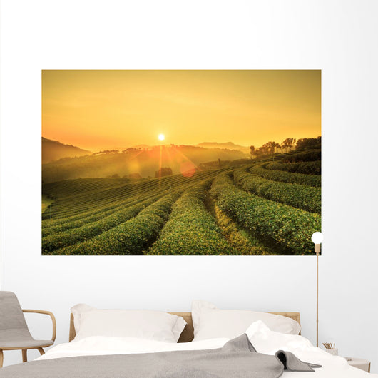 Sunrise Tea Plantation Landscape Wall Decal