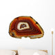 Banded Agate Scottish Pebble Wall Decal