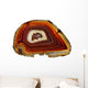 Banded Agate Scottish Pebble Wall Decal