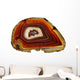 Banded Agate Scottish Pebble Wall Decal