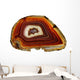 Banded Agate Scottish Pebble Wall Decal
