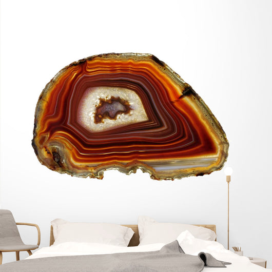 Banded Agate Scottish Pebble Wall Decal