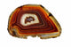 Banded Agate Scottish Pebble Wall Decal
