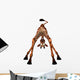 Toon Giraffe Wall Decal