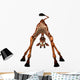 Toon Giraffe Wall Decal