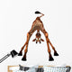 Toon Giraffe Wall Decal