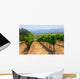 Vineyards Napa California Wall Decal