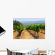 Vineyards Napa California Wall Decal