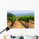 Vineyards Napa California Wall Decal