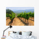 Vineyards Napa California Wall Decal